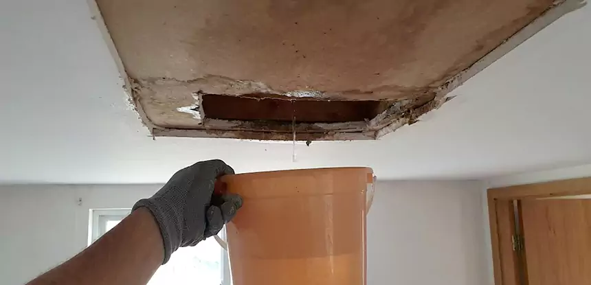 Ceiling Mold Repair Calhoun