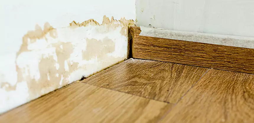 Professional Fix Water Damaged Wood Services in Calhoun, GA